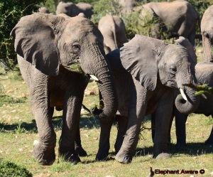 ????????????????????????????????????