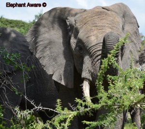 ????????????????????????????????????